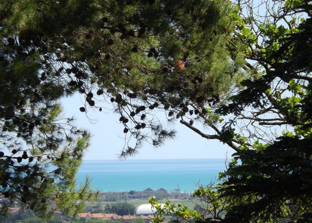 Tenuta Colle Sereno