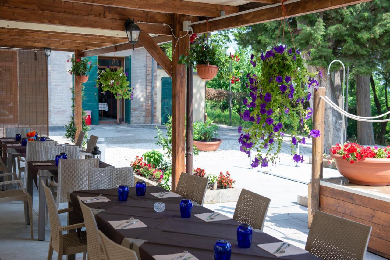 Tenuta Colle Sereno